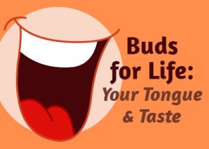 Johnston & Pleasant Hill dentist, Dr. Johnson at Veranda Dentistry, takes a moment to talk about what’s responsible for your love and dislike of certain foods: taste buds!