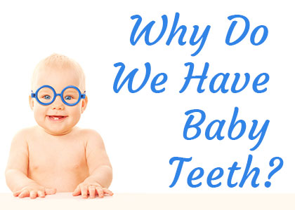 why do we have baby teeth?